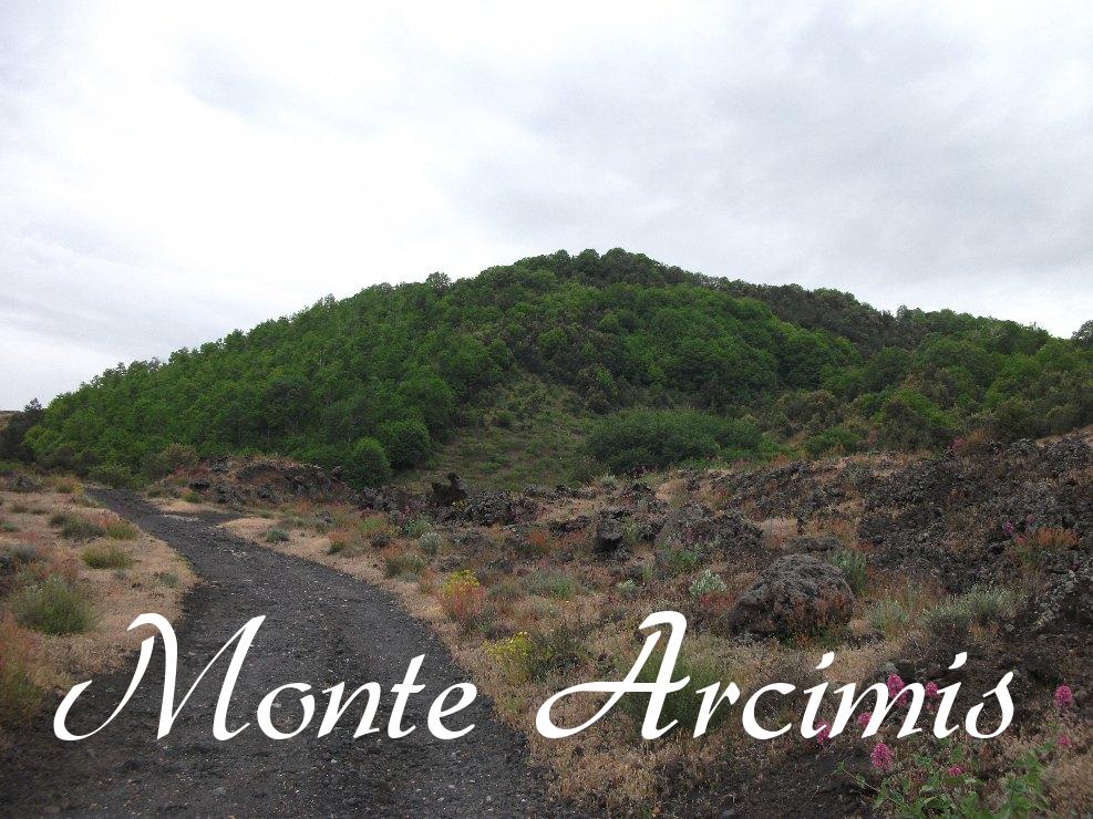 Monte Arcimis